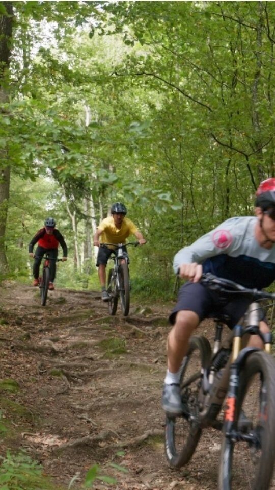 Instagram post from furttalbikes. This post is in position 8.